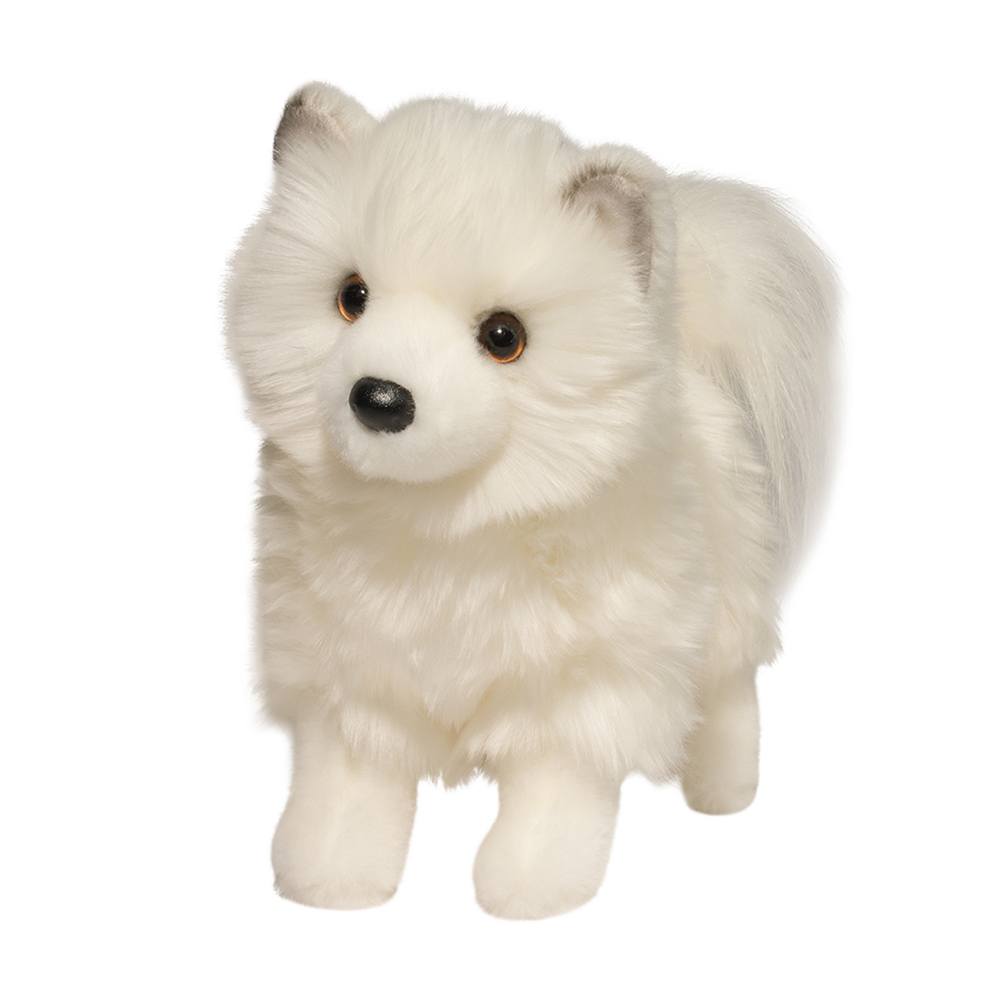 1704.jpg Phoebe Pomsky - Image 1