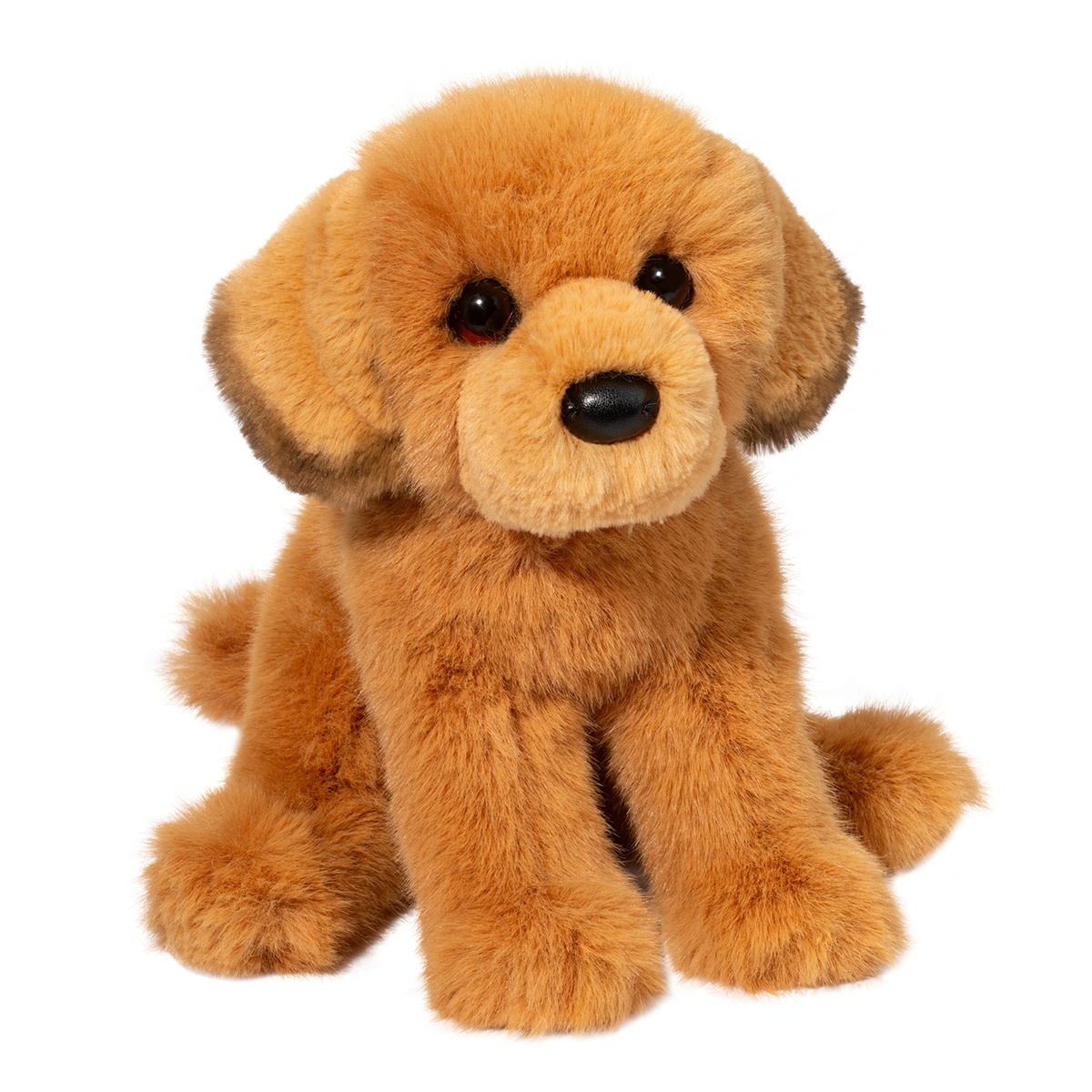 1913-1.jpg August Golden Retriever - Image 1