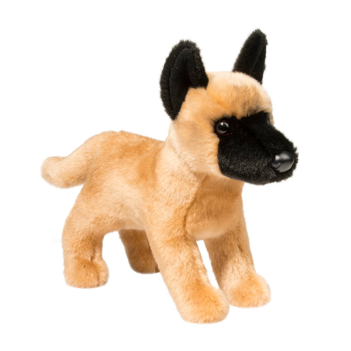 1971-1.jpg Klaus Belgian Malinois - Image 1