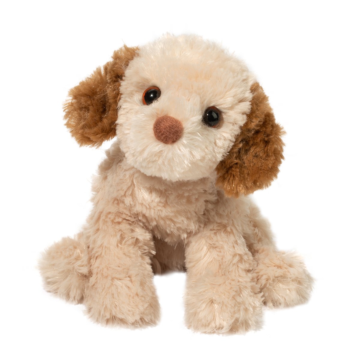 3975-1.jpg Biscuit Cavapoo - Image 1