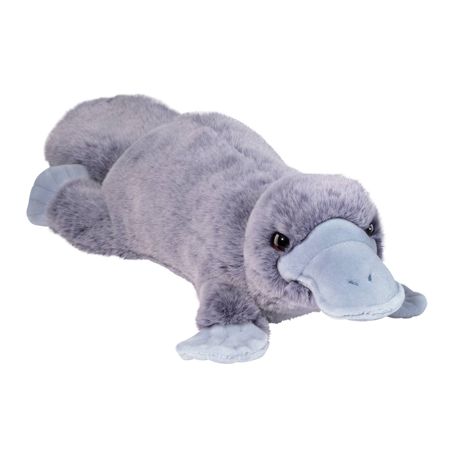 4639.jpg Allie Soft Platypus - Image 1